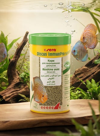 سيرا ديسكس إيميون برو نيتشر