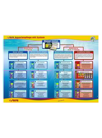 سيرا | أوراق اللوز الهندي الطبيعية – Sera Catappa Leaves S