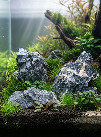 حجر سموكي جبلي