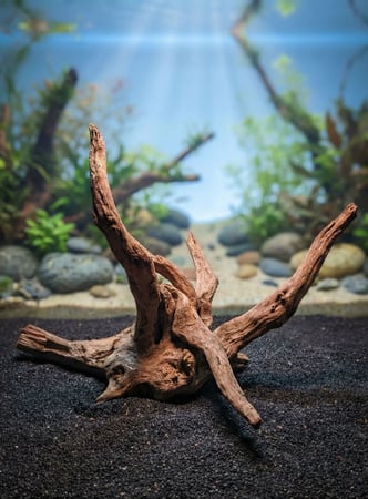 خشب المانجروف / Mangrove wood  1kg