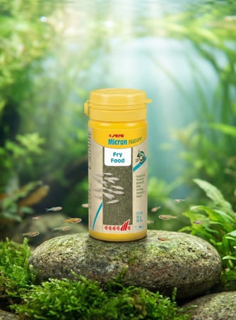 طعام زريعة الأسماك سيرا مايكرون Sera