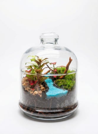 حوض تيراريوم زجاجي