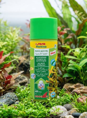 سماد سائل أساسي للنباتات