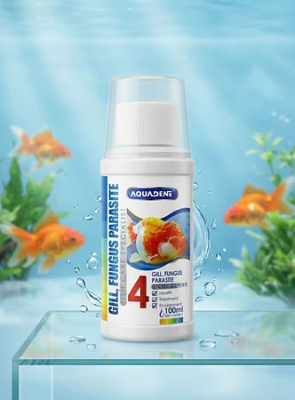 أكوادين المرحلة 4