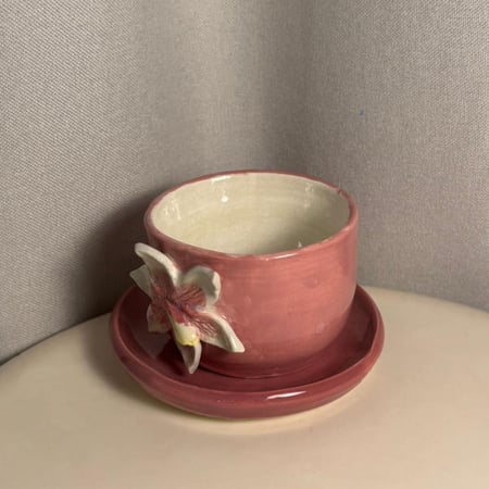 كوب زهرة الزنبق الوردي