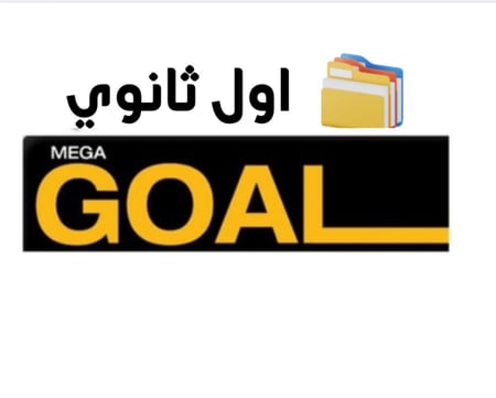 بكج ( mega goal 1)