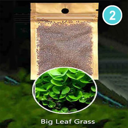 بذور نباتات مائية لاحواض السمك نوع 2 Big Leaf Grass