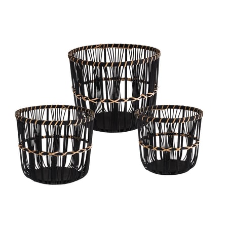 طقم اصيق نباتات 3 قطع