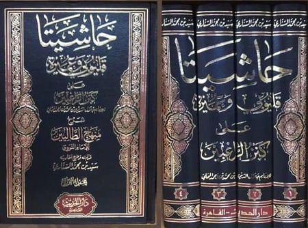 حاشيتا قليوبي وعميرة