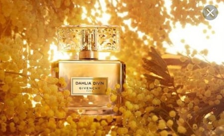 عطر نسائي ميني داليا دايفن جفنشي او دو برفيوم انتنس 5ML