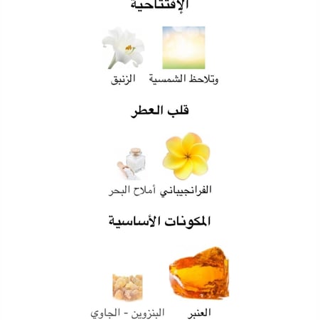 عينة عطر نسائي ديفاين جان بول غوتييه او دو برفيوم انتنس 1.5 ML  العينة