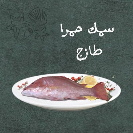 سمك حمرا طازة