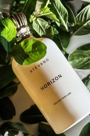 عطر هورايزن 100مل