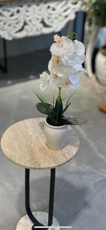 فازة ورد اوركيد