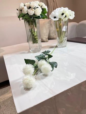 غصن سيرسيوم ابيض