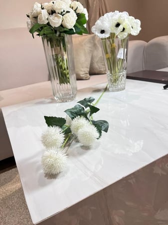 غصن سيرسيوم ابيض