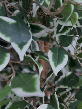 شجر صناعي GRNO