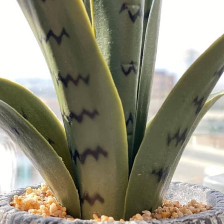 مركن زرع صناعي