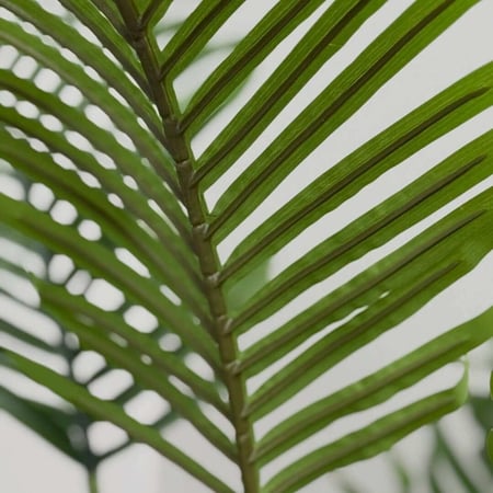 شجر صناعي ARECA
