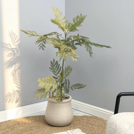 شجر صناعي ACACIA