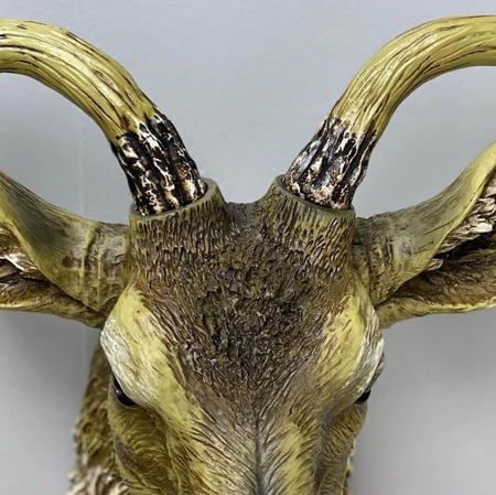 راس غزال جداري