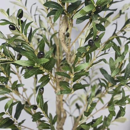 شجرة زيتون صناعية