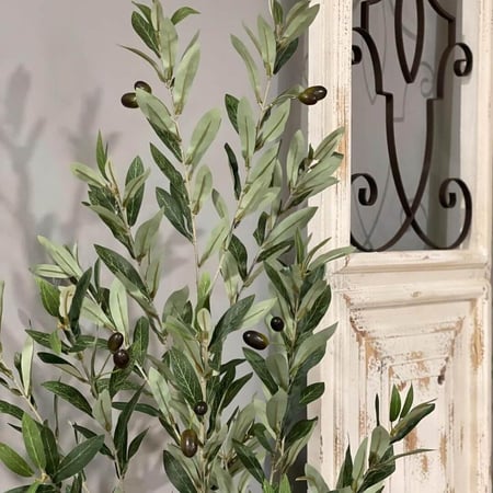 شتلة زيتون صناعي OLIVANTO