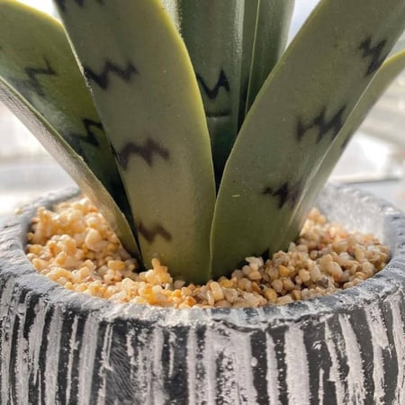 مركن زرع صناعي