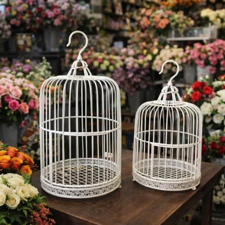 اقفاص حديد ابيض