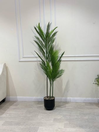 شجرة أريكا صناعية بارتفاع 160سم – تصميم الطبيعة