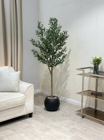 شجر زيتون مركن أبيض مقاس 190سم