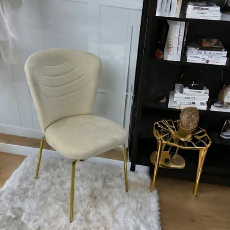 كرسي المخمل بقاعدة حديد