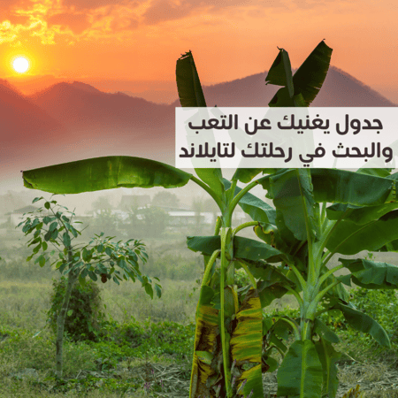 جدول تايلاند متكامل لمدة 17 الى 21 يوم