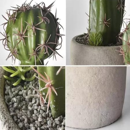 نبات صبار صناعي