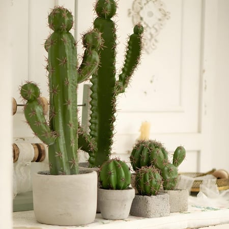 نبات صبار صناعي