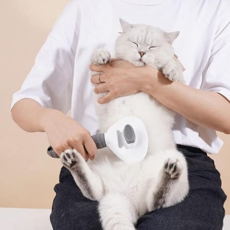 فرشاة شعر للحيوانات الأليفة