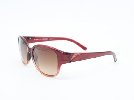 نظارة سميث SMITH Evolve