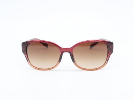 نظارة سميث SMITH Evolve