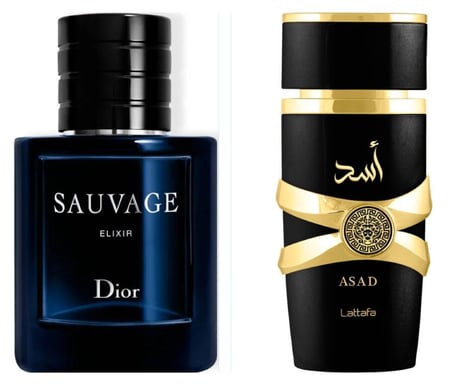 أسد الرجالي  ASAD