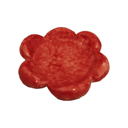 كوب زهرة مع صحن