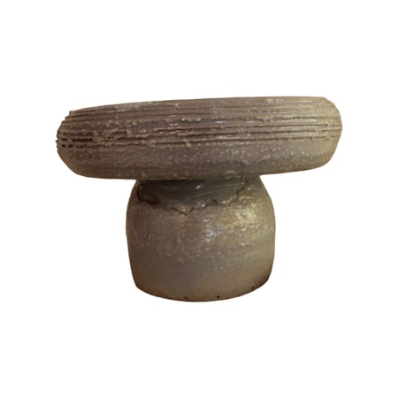 قطعة رستك فنتج