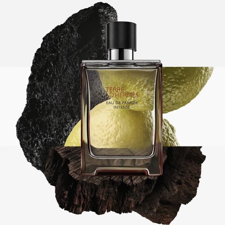 عطر تيري دي هرمس ادو بارفيوم انتنس 100 مل Terre d’Hermès Intense