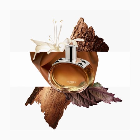 عطر هرمس بارينيا انتنس 100 مل Barénia Hermès