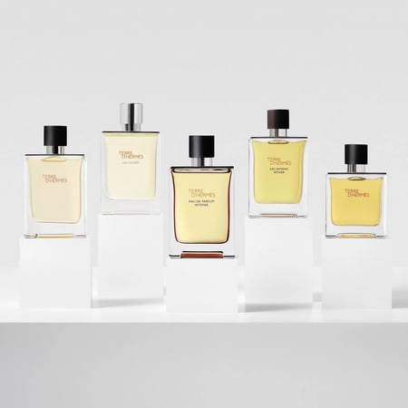 عطر تيري دي هرمس ادو بارفيوم انتنس 100 مل Terre d’Hermès Intense