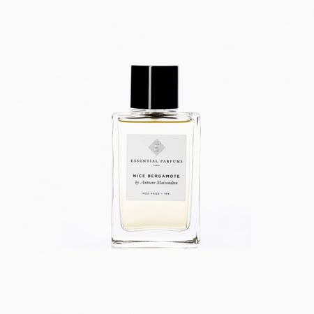عطر نايس بارغموت ايسنشيال 100 مل Essential Parfums