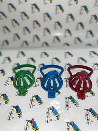 حامل بيض 10 حبه