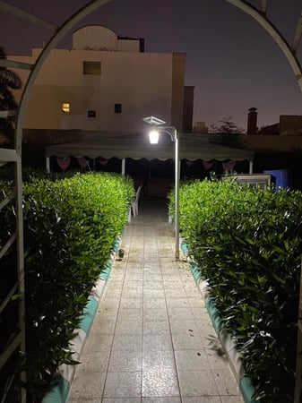فانوس شارع - افضل فانوس شارع - متجر العجيب والغريب