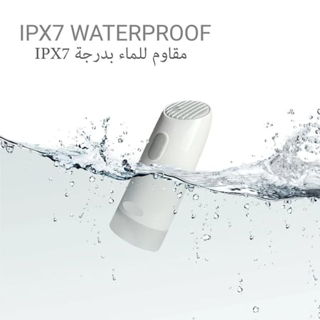 شطاف المسافر