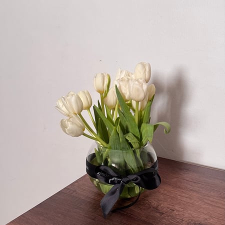 فازة 20 حبه توليب