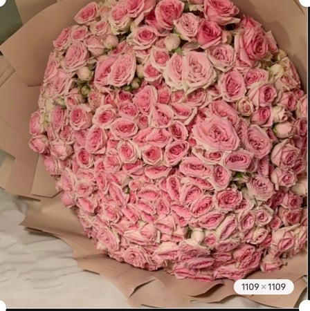 100 غصن فوشي | 100 SPRAY ROSES FUSHI
